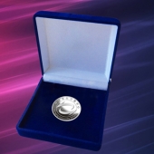 2015年3月定制　中經(jīng)萬達純銀徽章定做、千足銀徽章制作