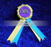 織帶獎(jiǎng)?wù)?絲帶獎(jiǎng)?wù)?絲帶勛章,織帶勛章