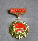 韶關(guān)供電局優(yōu)秀共青團干部功勛章,勛功章