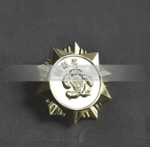 創(chuàng)新獎獎章,榮譽獎章,創(chuàng)新獎勛章,榮譽勛章