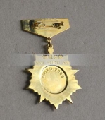 優秀員工金質勛章,優秀員工金質獎章,員工功勛章